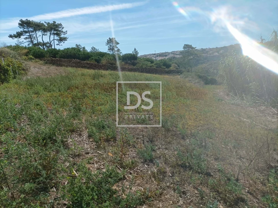 Terreno Agricola ou Rústico para Venda em Carvoeira Foto 6