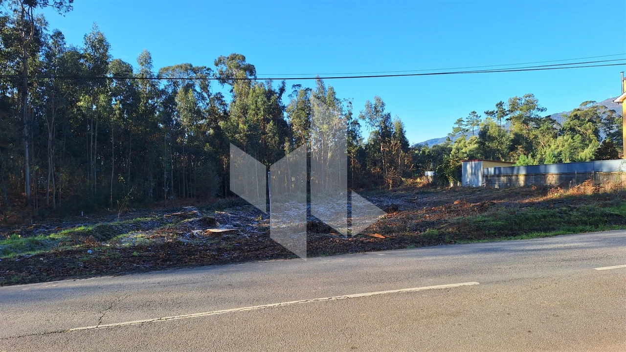 Terreno para Venda em Campo de Besteiros Foto 3