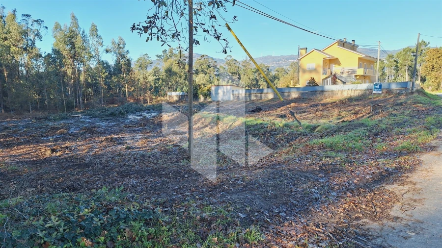 Terreno para Venda em Campo de Besteiros Foto 9