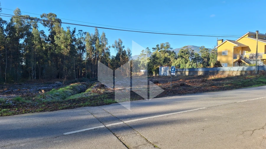 Terreno para Venda em Campo de Besteiros Foto 4
