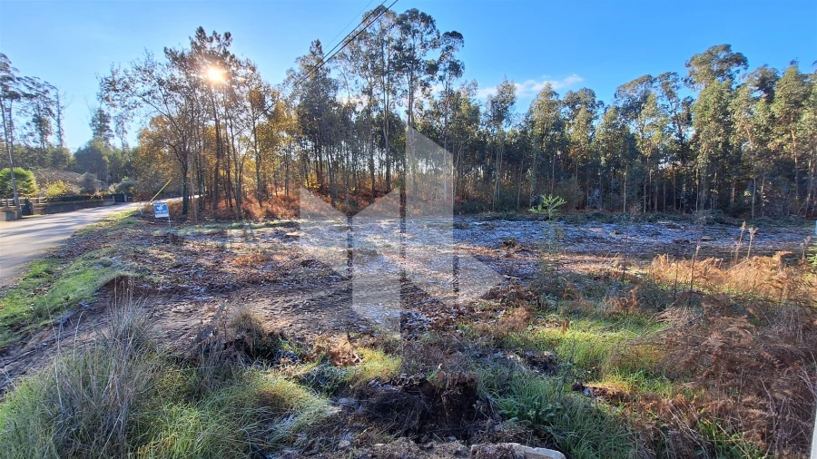 Terreno para Venda em Campo de Besteiros Foto 5