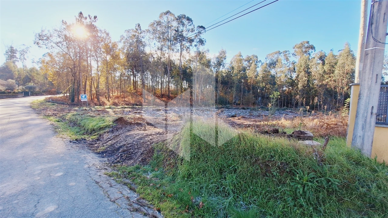 Terreno para Venda em Campo de Besteiros Foto 10