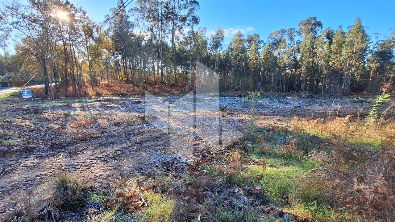 Terreno para Venda em Campo de Besteiros Foto 12