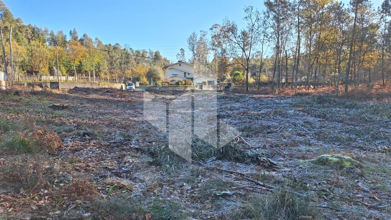 Terreno para Venda em Campo de Besteiros Foto 13