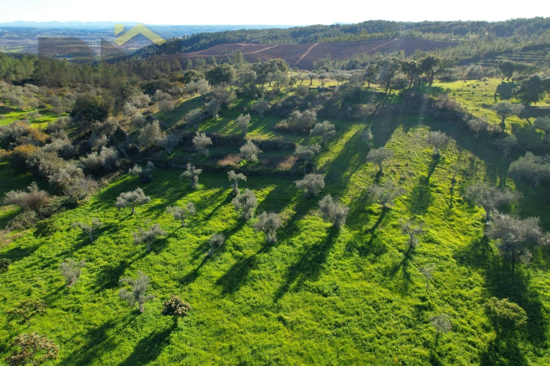 Quinta T0 para Venda em Perais Foto 20