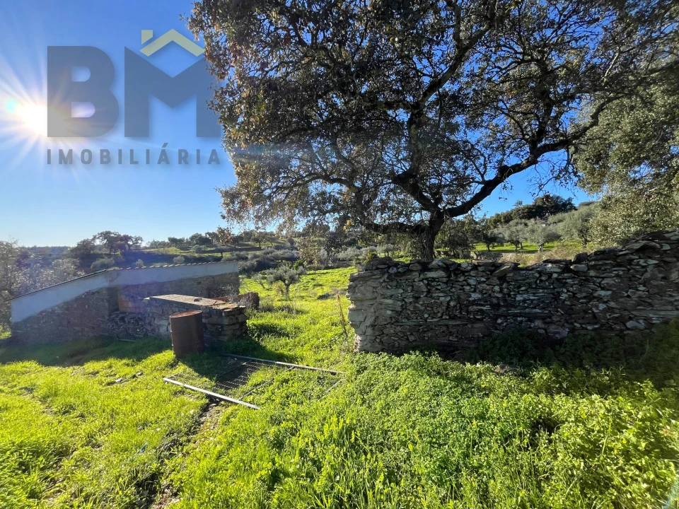 Quinta T0 para Venda em Perais Foto 23