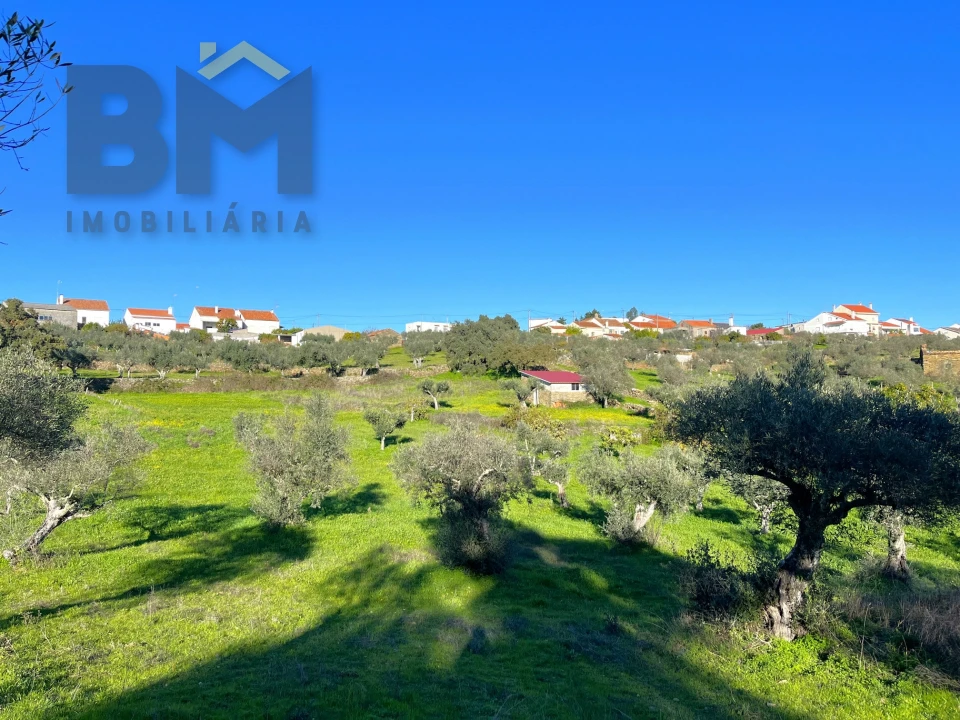 Quinta T0 para Venda em Perais Foto 19