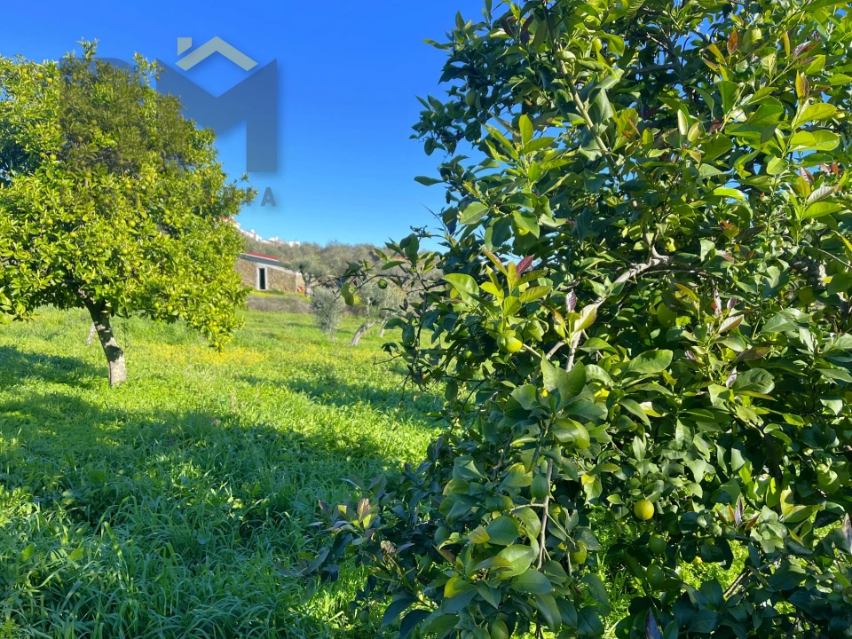 Quinta T0 para Venda em Perais Foto 8