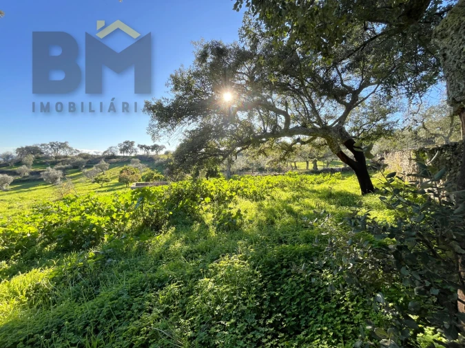 Quinta T0 para Venda em Perais Foto 22