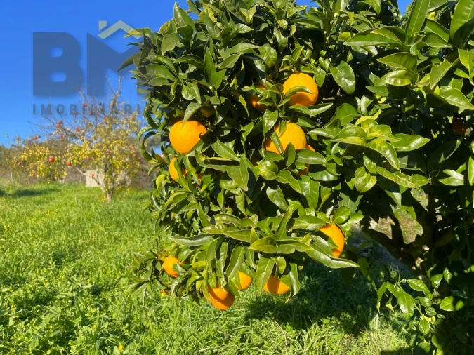 Quinta T0 para Venda em Perais Foto 9