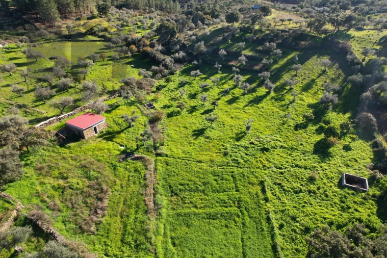 Quinta T0 para Venda em Perais Foto 27