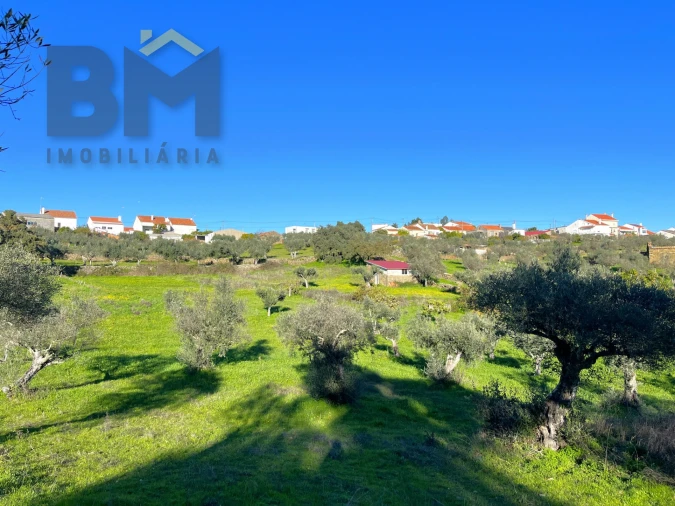 Quinta T0 para Venda em Perais Foto 19