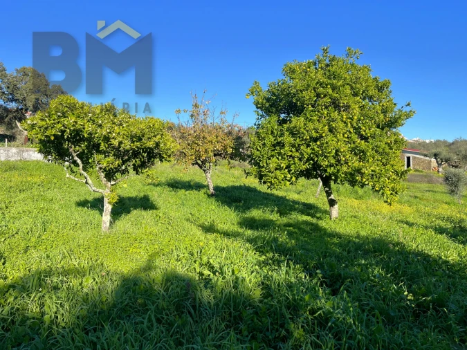 Quinta T0 para Venda em Perais Foto 10