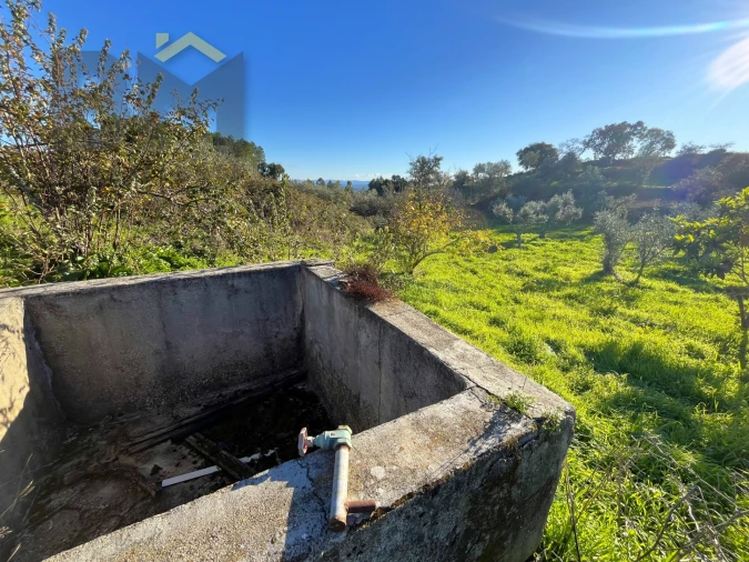 Quinta T0 para Venda em Perais Foto 18