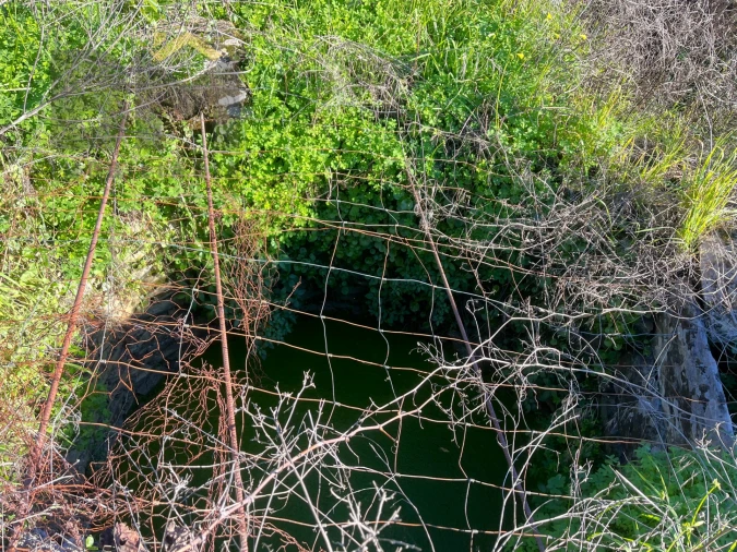 Quinta T0 para Venda em Perais Foto 17