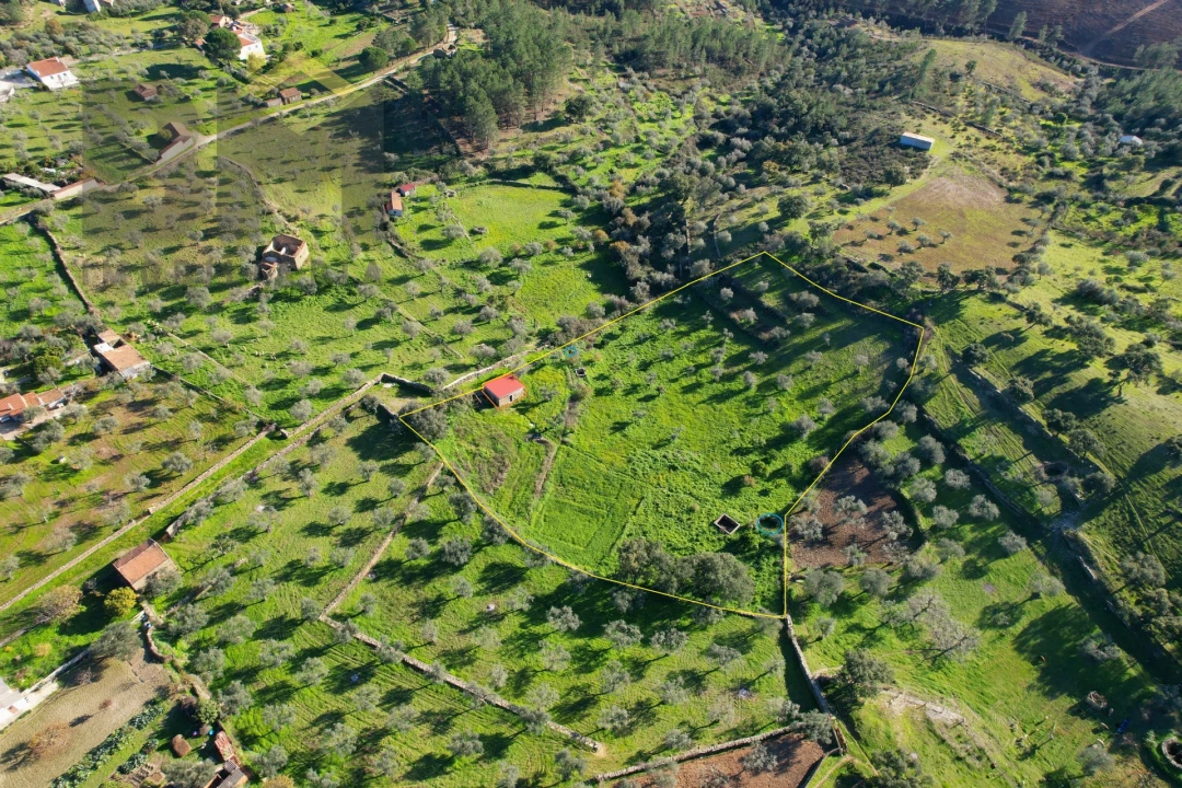 Quinta T0 para Venda em Perais Foto 3