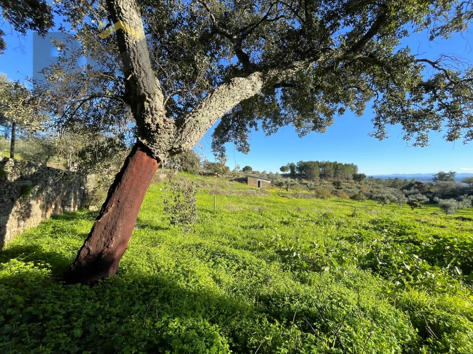 Quinta T0 para Venda em Perais Foto 21