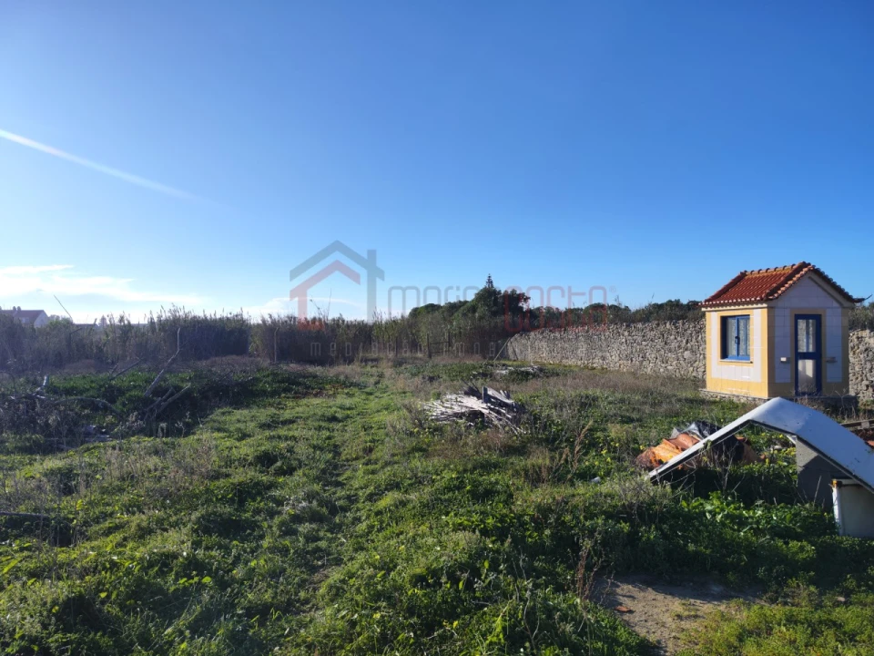 Terreno Agricola ou Rústico para Venda em Peniche Foto 8