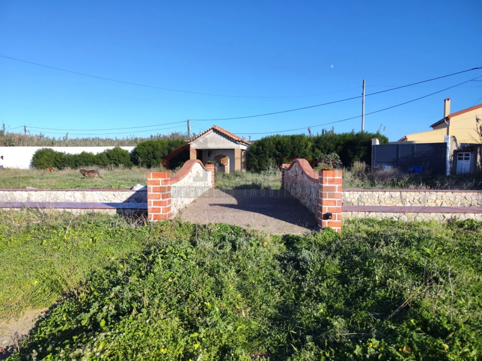 Terreno Agricola ou Rústico para Venda em Peniche Foto 2