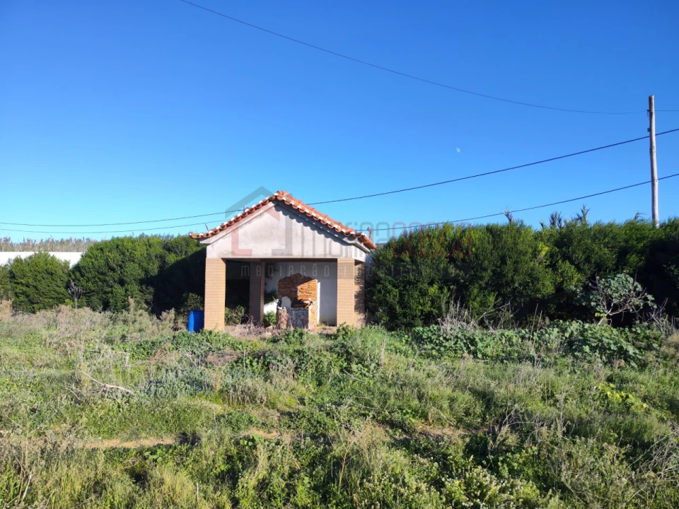 Terreno Agricola ou Rústico para Venda em Peniche Foto 4
