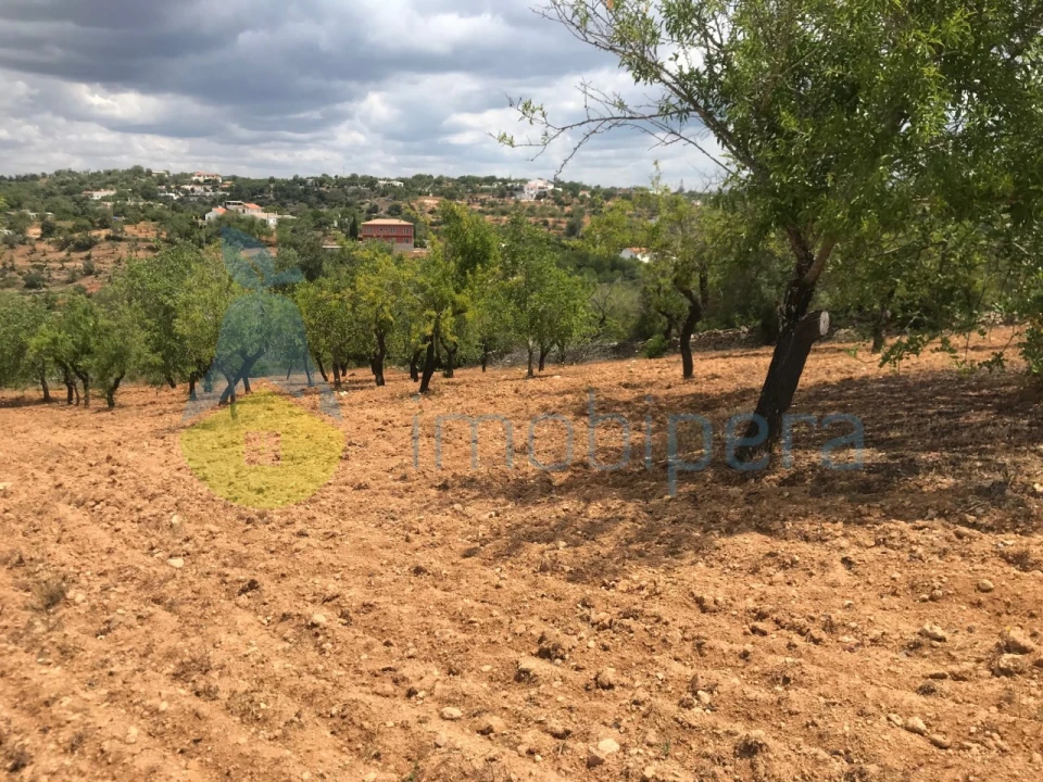Terreno Agricola ou Rústico para Venda em Boliqueime Foto 1