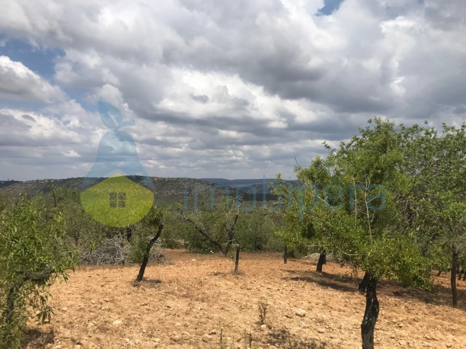 Terreno Agricola ou Rústico para Venda em Boliqueime Foto 9
