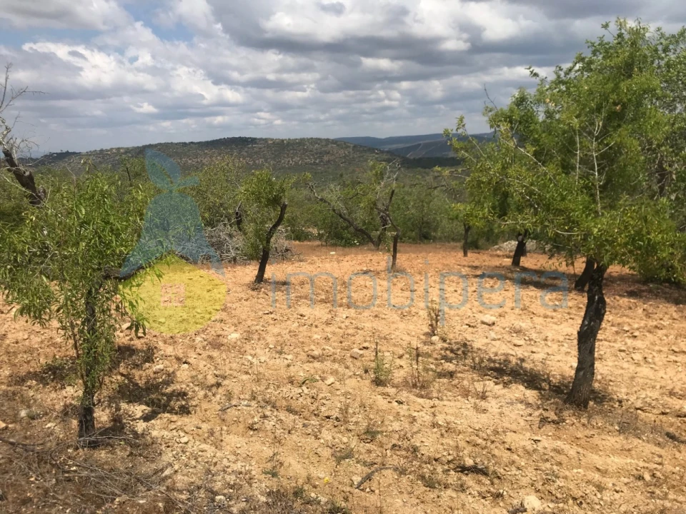 Terreno Agricola ou Rústico para Venda em Boliqueime Foto 10