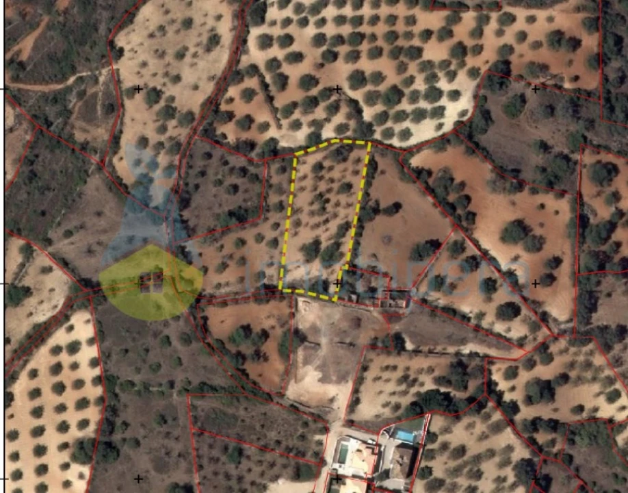 Terreno Agricola ou Rústico para Venda em Boliqueime Foto 4