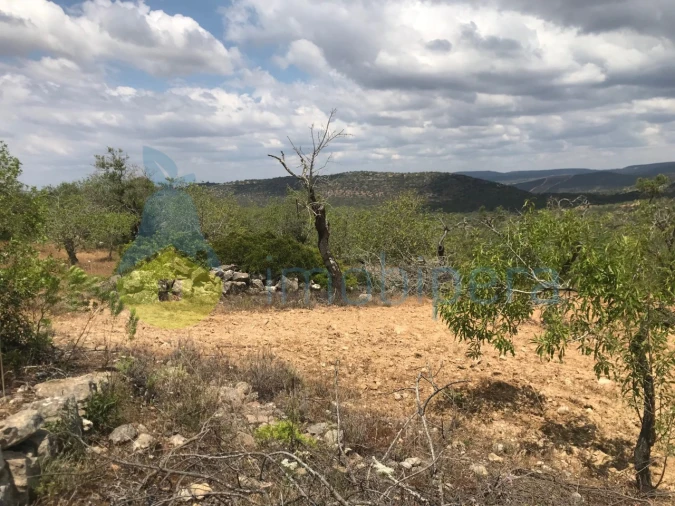 Terreno Agricola ou Rústico para Venda em Boliqueime Foto 8