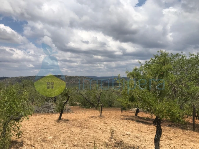 Terreno Agricola ou Rústico para Venda em Boliqueime Foto 9