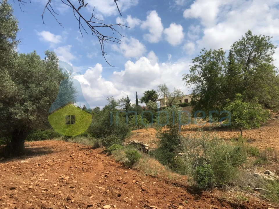 Terreno Agricola ou Rústico para Venda em Boliqueime Foto 6