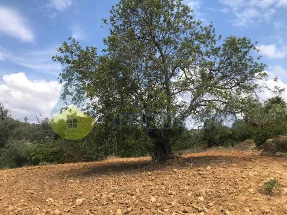 Terreno Agricola ou Rústico para Venda em Boliqueime Foto 10