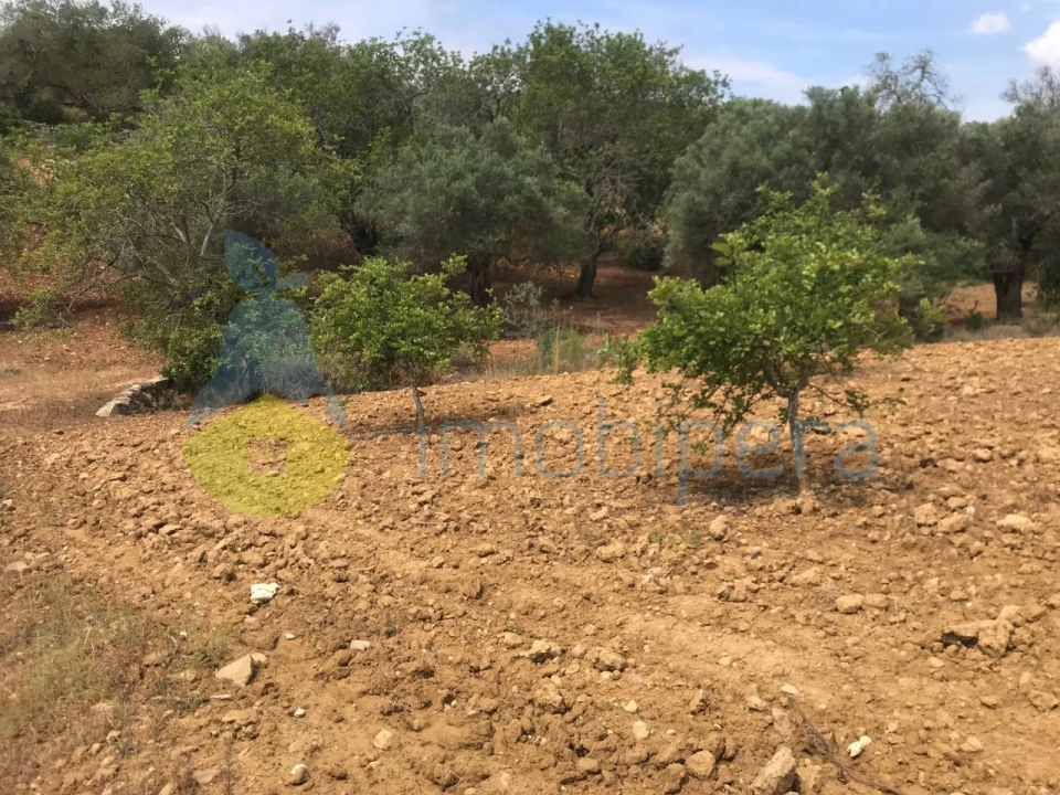 Terreno Agricola ou Rústico para Venda em Boliqueime Foto 8