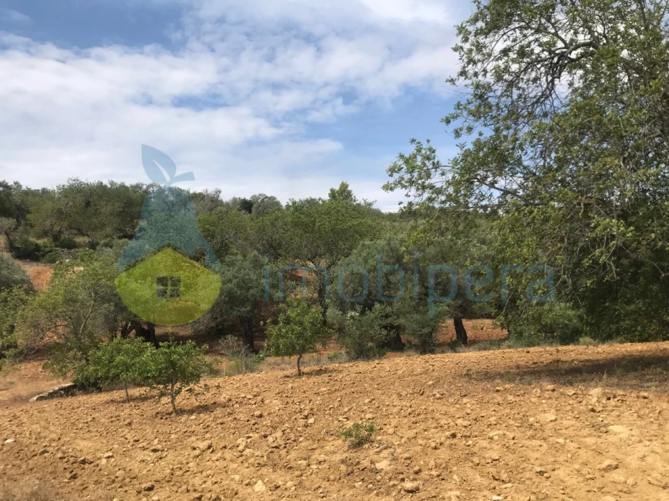 Terreno Agricola ou Rústico para Venda em Boliqueime Foto 11