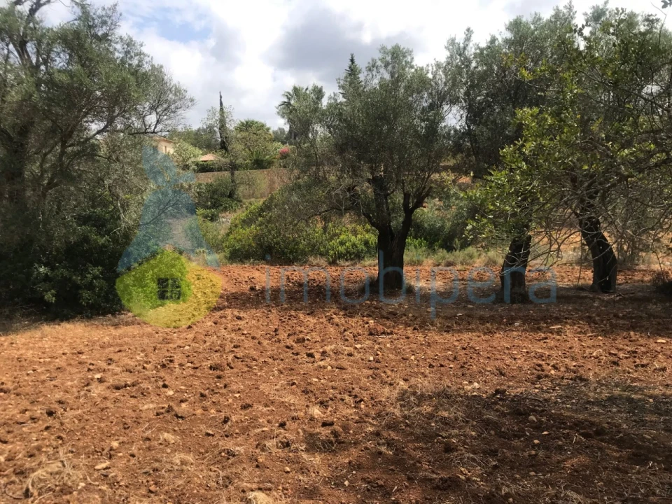 Terreno Agricola ou Rústico para Venda em Boliqueime Foto 13
