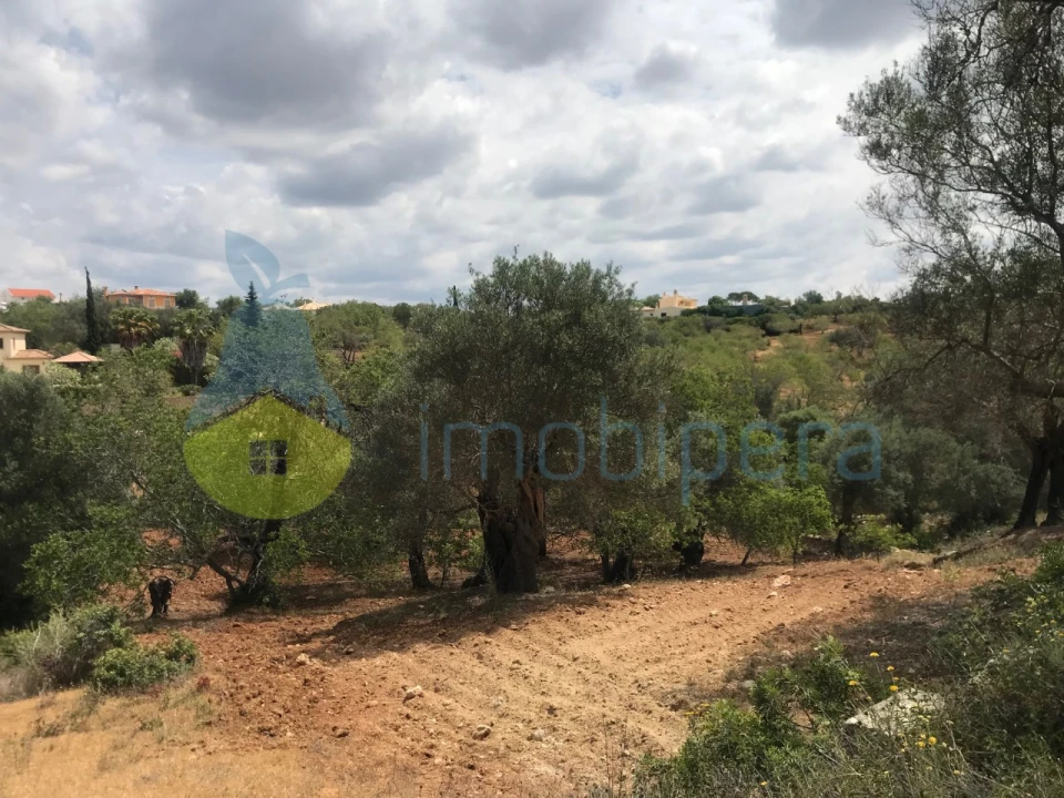 Terreno Agricola ou Rústico para Venda em Boliqueime Foto 18