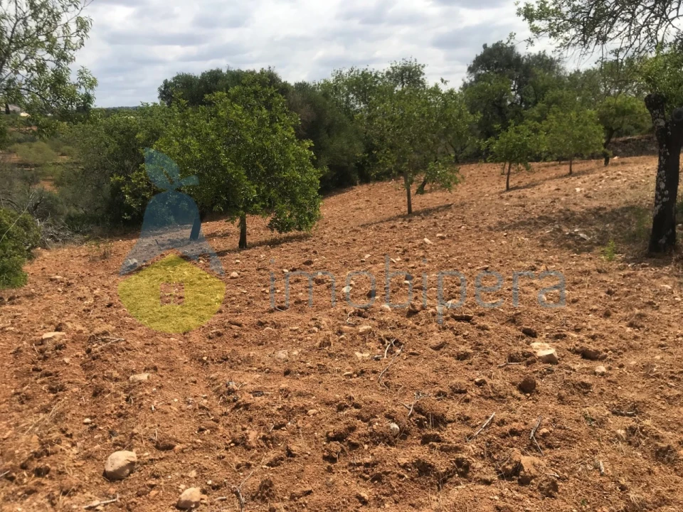 Terreno Agricola ou Rústico para Venda em Boliqueime Foto 20