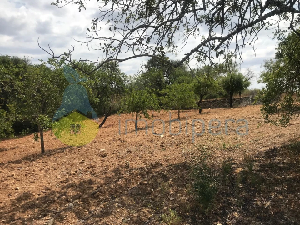 Terreno Agricola ou Rústico para Venda em Boliqueime Foto 21