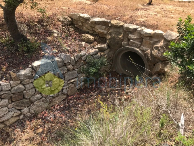 Terreno Agricola ou Rústico para Venda em Boliqueime Foto 7