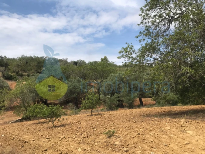Terreno Agricola ou Rústico para Venda em Boliqueime Foto 11