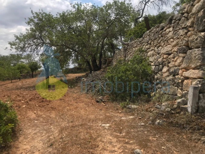 Terreno Agricola ou Rústico para Venda em Boliqueime Foto 23