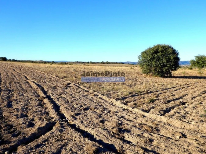 Terreno Agricola ou Rústico para Venda em Figueira de Castelo Rodrigo Foto 1