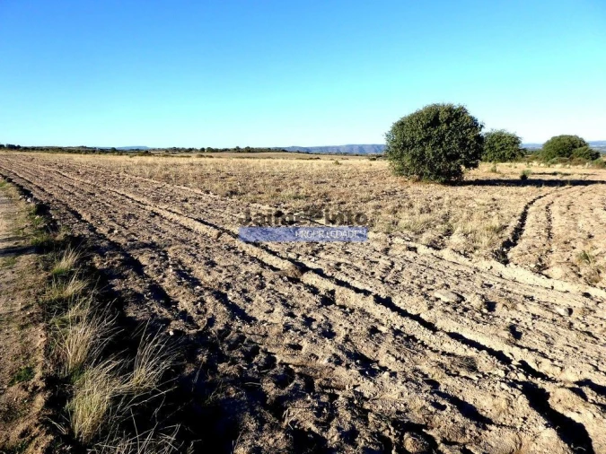 Terreno Agricola ou Rústico para Venda em Figueira de Castelo Rodrigo Foto 2