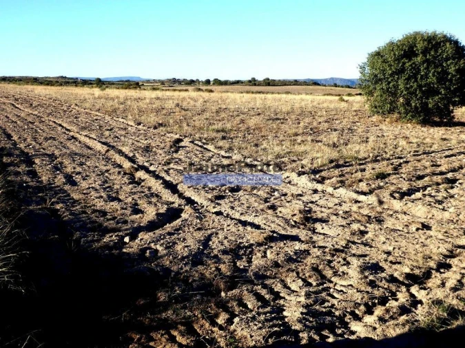 Terreno Agricola ou Rústico para Venda em Figueira de Castelo Rodrigo Foto 3