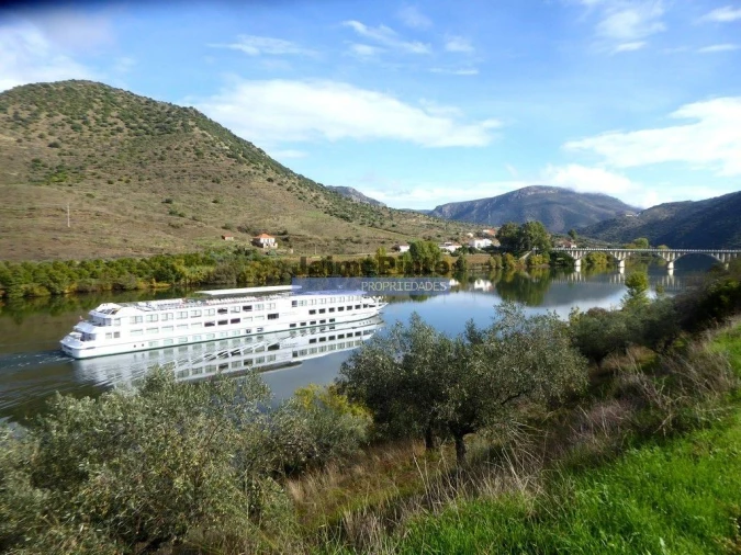 Terreno Agricola ou Rústico para Venda em Figueira de Castelo Rodrigo Foto 5