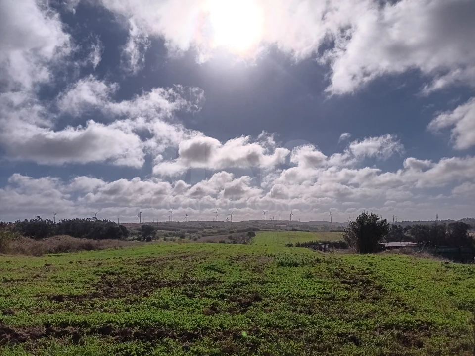 Terreno para Venda em Atouguia da Baleia Foto 6