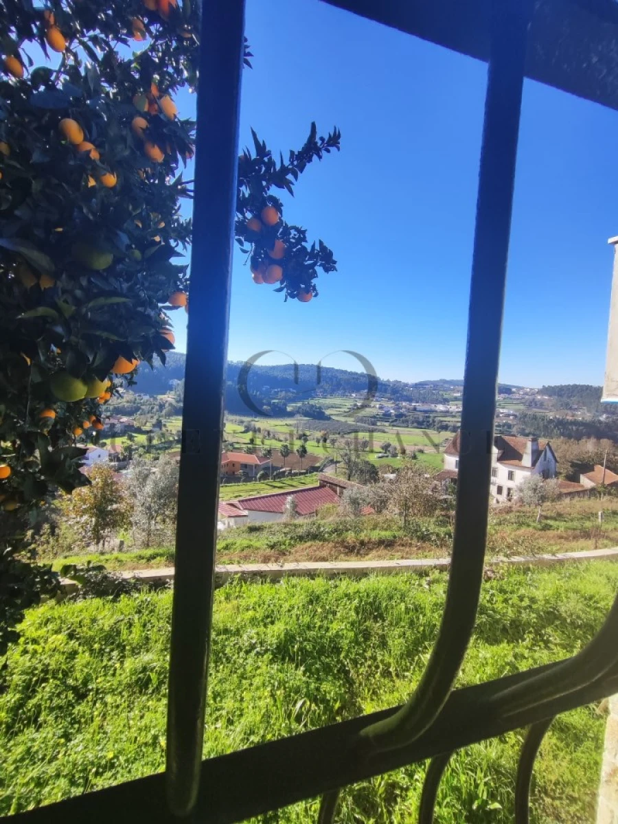 Moradia T4 para Venda em Fermedo Foto 22