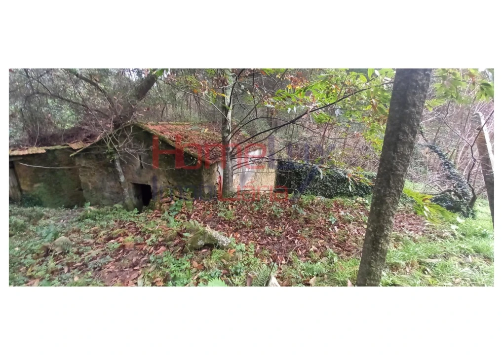 Quinta T2 para Venda em O. Azeméis, Riba-Ul, Ul, Macinhata Seixa, Madail Foto 8