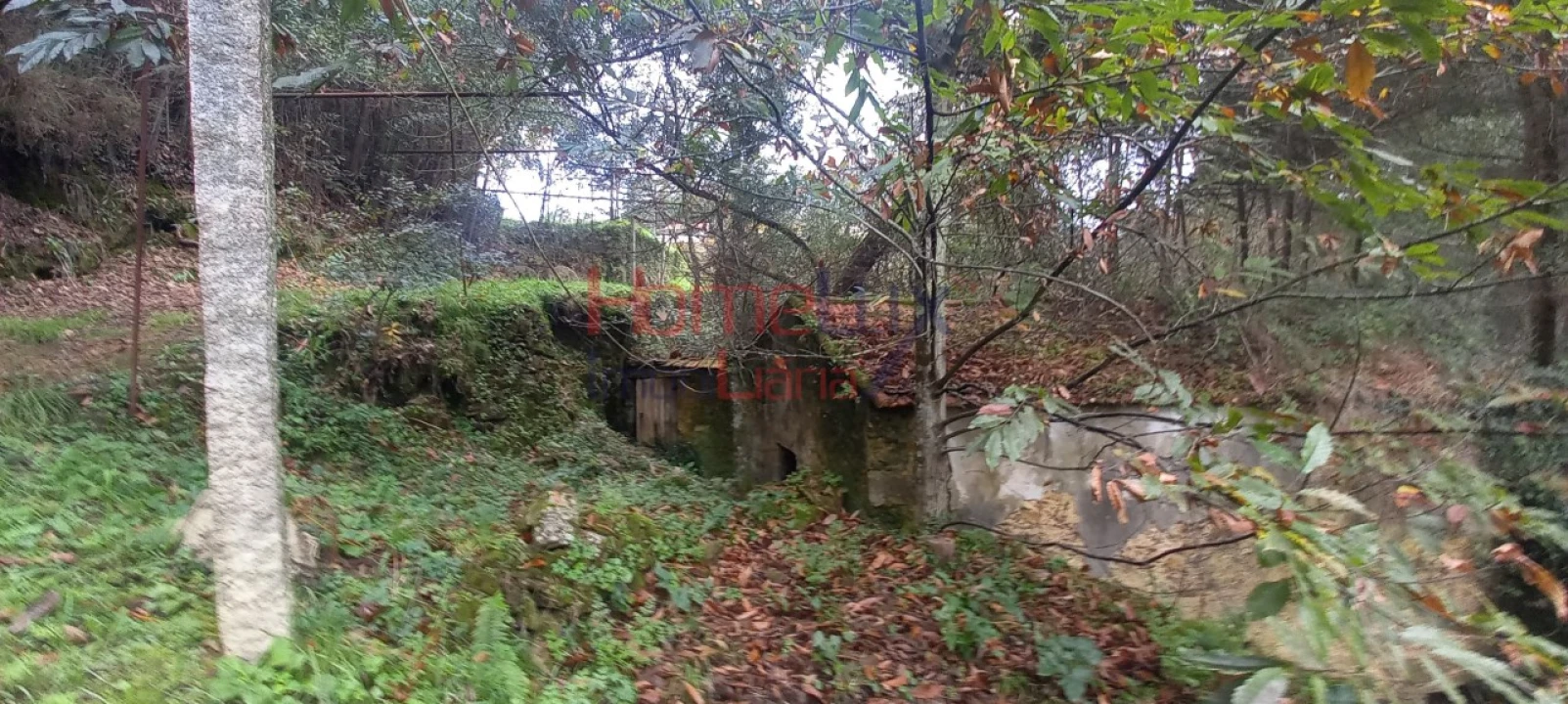 Quinta T2 para Venda em O. Azeméis, Riba-Ul, Ul, Macinhata Seixa, Madail Foto 11