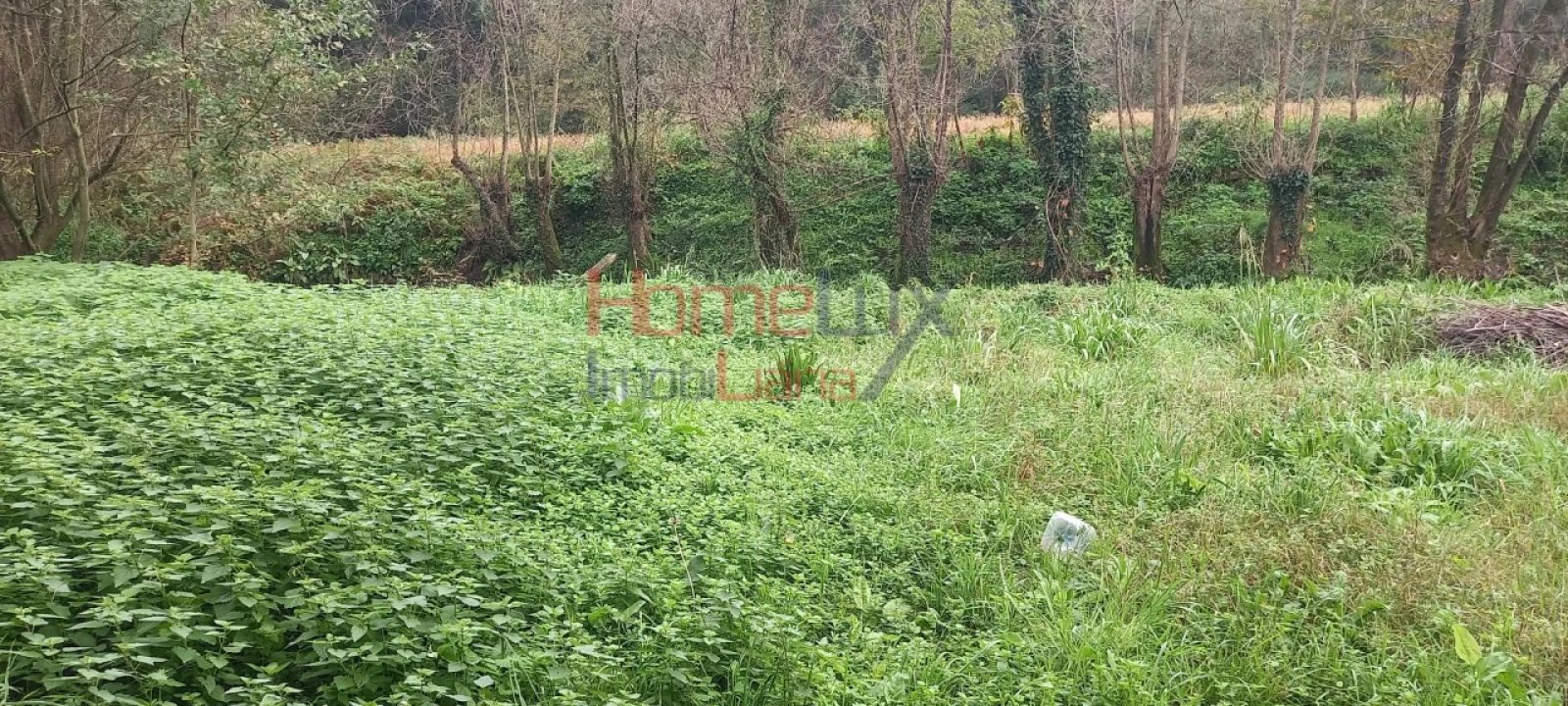 Quinta T2 para Venda em O. Azeméis, Riba-Ul, Ul, Macinhata Seixa, Madail Foto 13